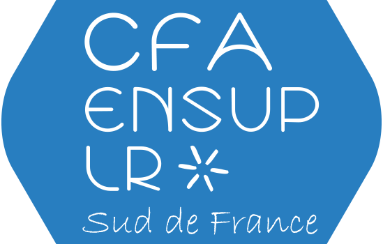 La Licence Pro Mact ouvre à l’apprentissage !