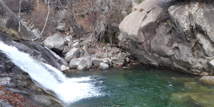 Master Tourisme – Mention « Management Des Transitions »